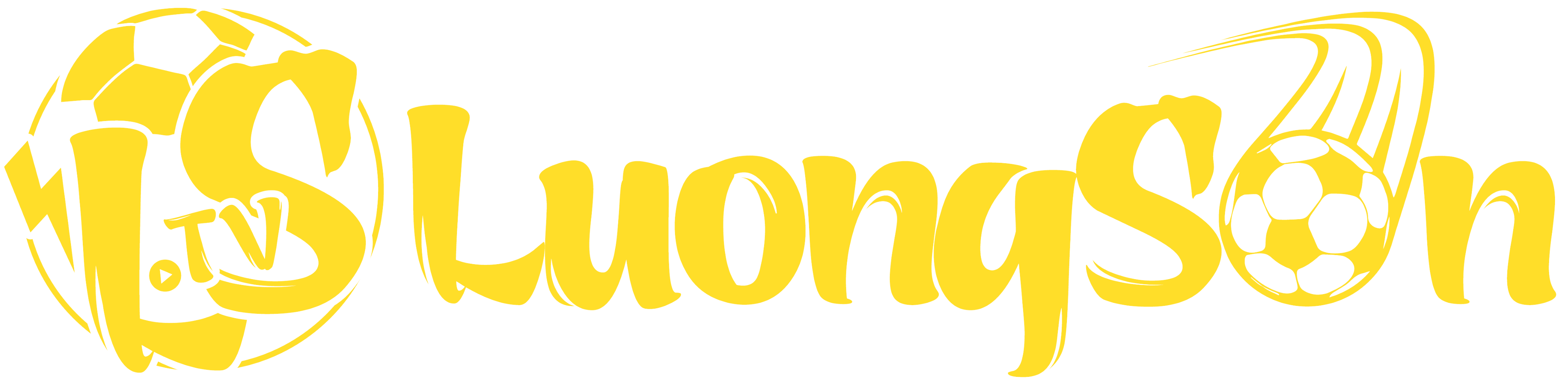 logo luongson footer